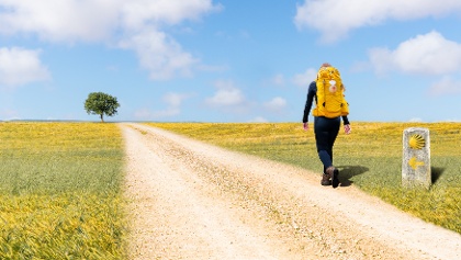 Peregrinação das Senhoras